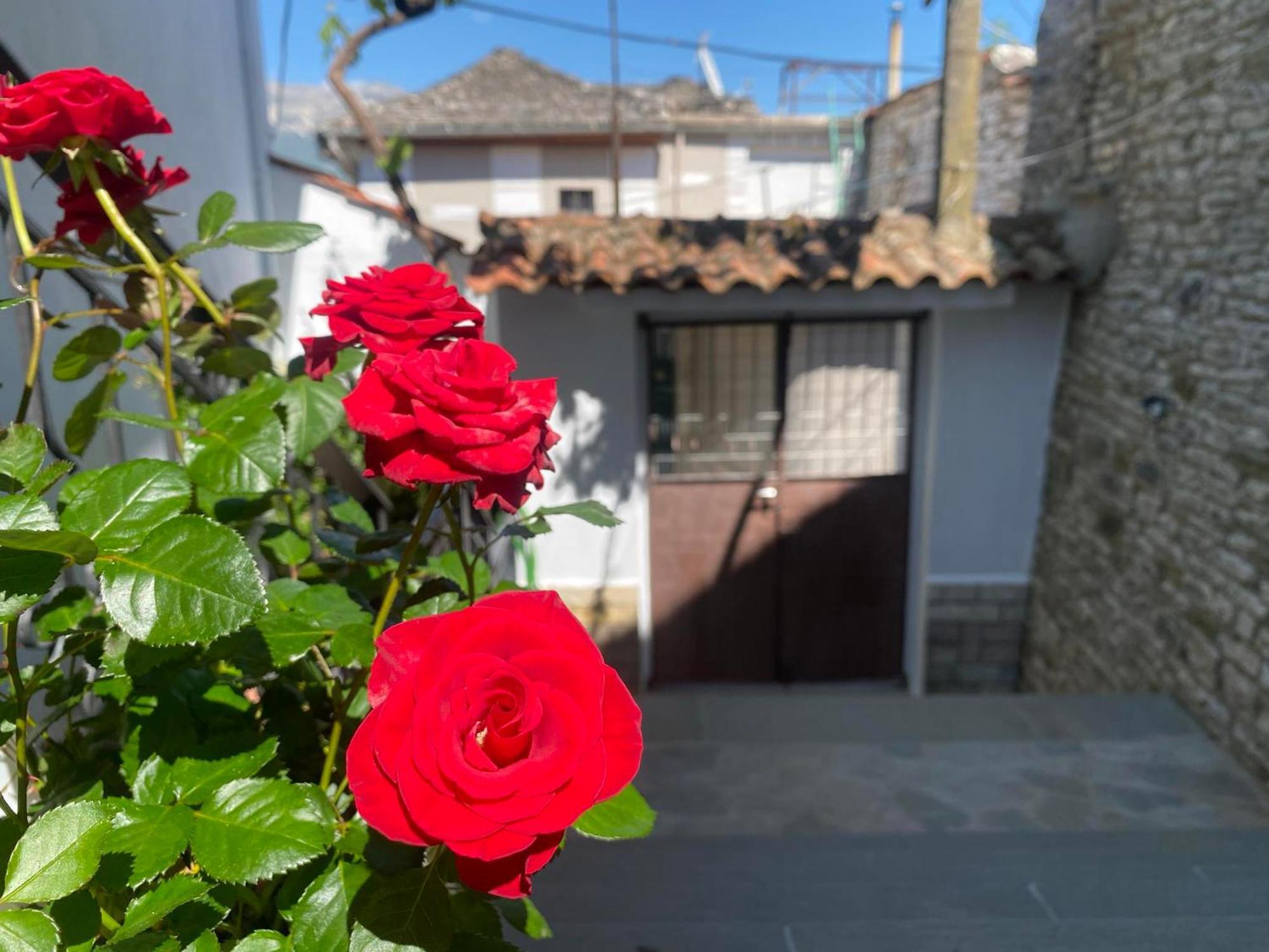 Guest House Persa Gjirokastër Exterior foto